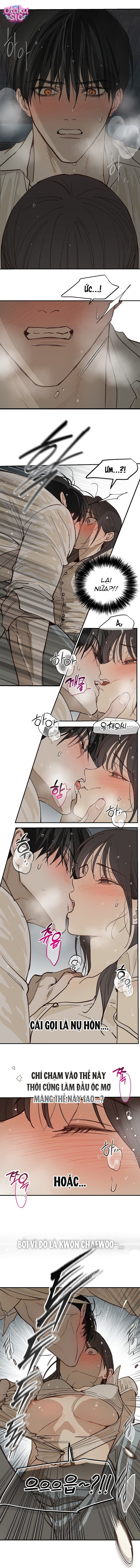 Hoa Là Mồi Nhử - Chap 48 - Trang 2