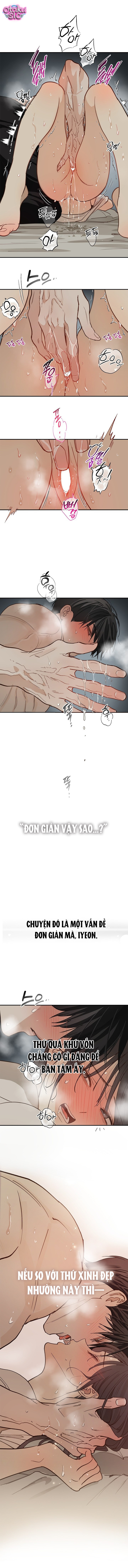 Hoa Là Mồi Nhử - Chap 48 - Trang 12
