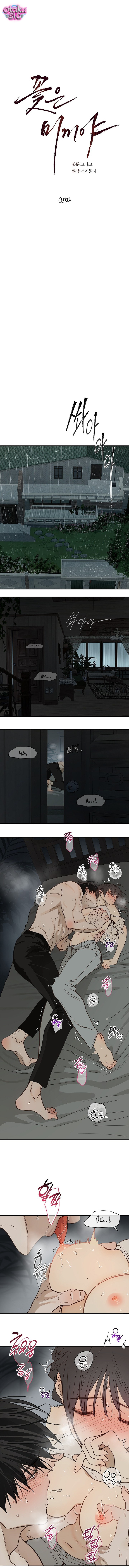 Hoa Là Mồi Nhử - Chap 48 - Trang 4