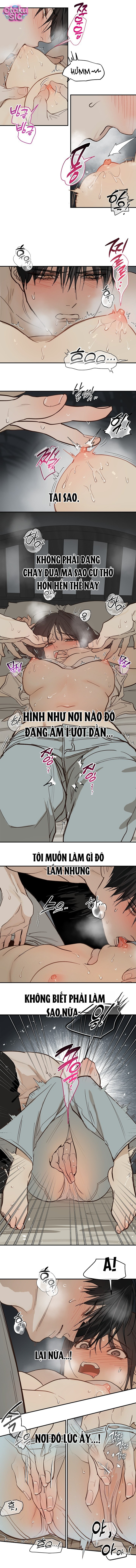 Hoa Là Mồi Nhử - Chap 48 - Trang 5