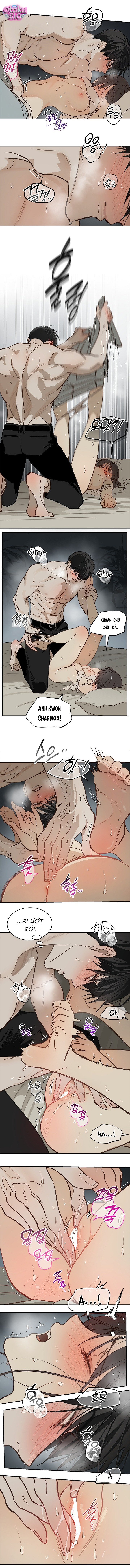 Hoa Là Mồi Nhử - Chap 48 - Trang 6