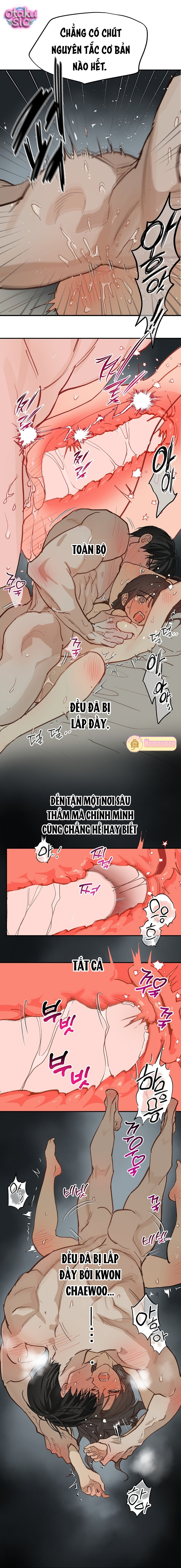 Hoa Là Mồi Nhử - Chap 50 - Trang 2