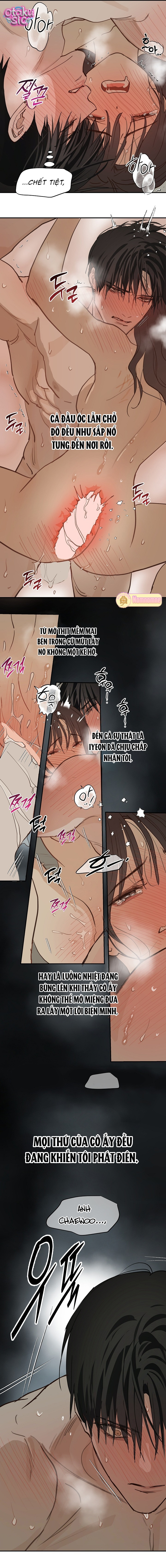 Hoa Là Mồi Nhử - Chap 50 - Trang 14
