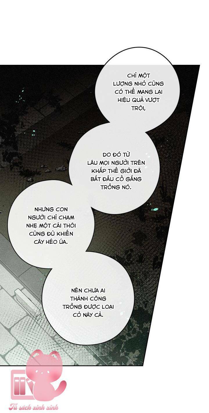 Hoàng Nữ Tóc Đen - Chap 49 - Trang 13