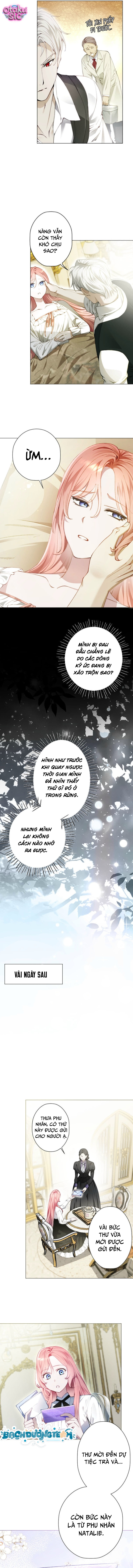 Hôn Nhân Hợp Đồng Với Công Tước Đoản Mệnh. - Chap 13 - Trang 2