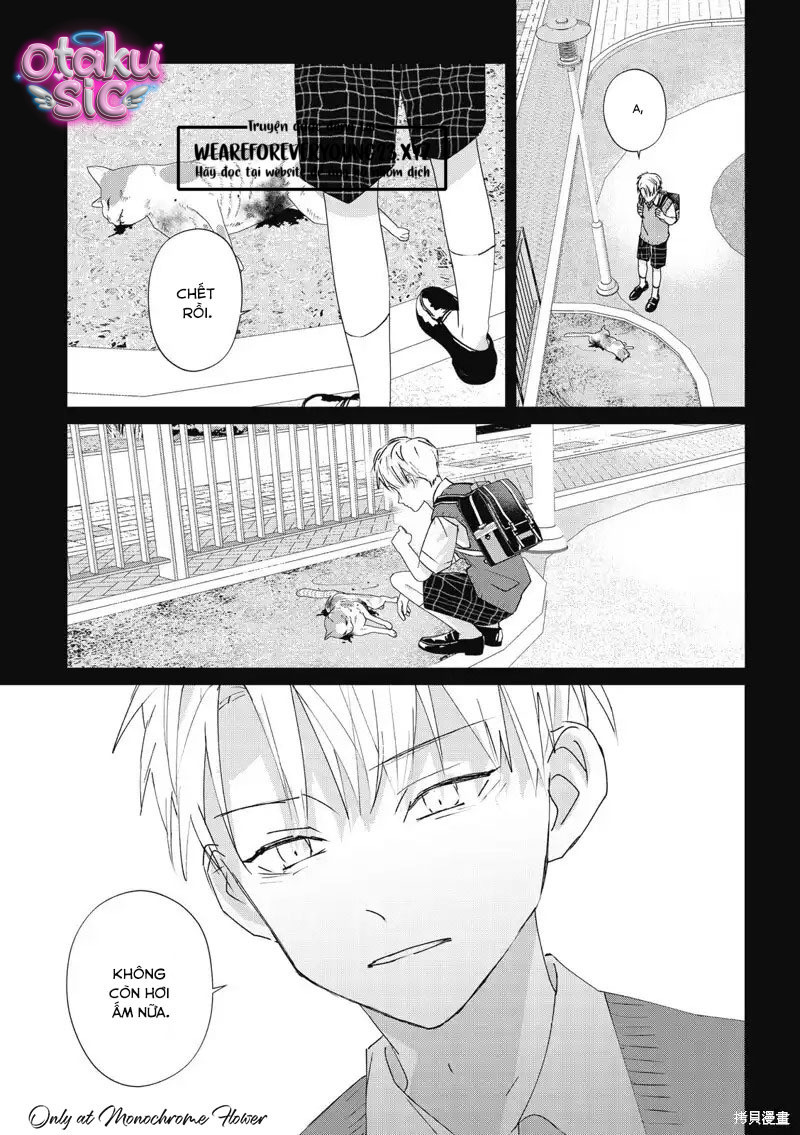 Hợp đồng luyện tập tiếp xúc - Chap 14 - Trang 14