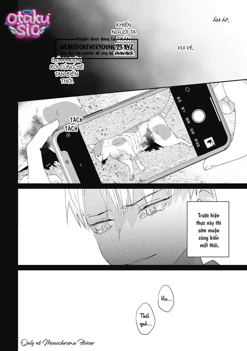Hợp đồng luyện tập tiếp xúc - Chap 14 - Trang 15