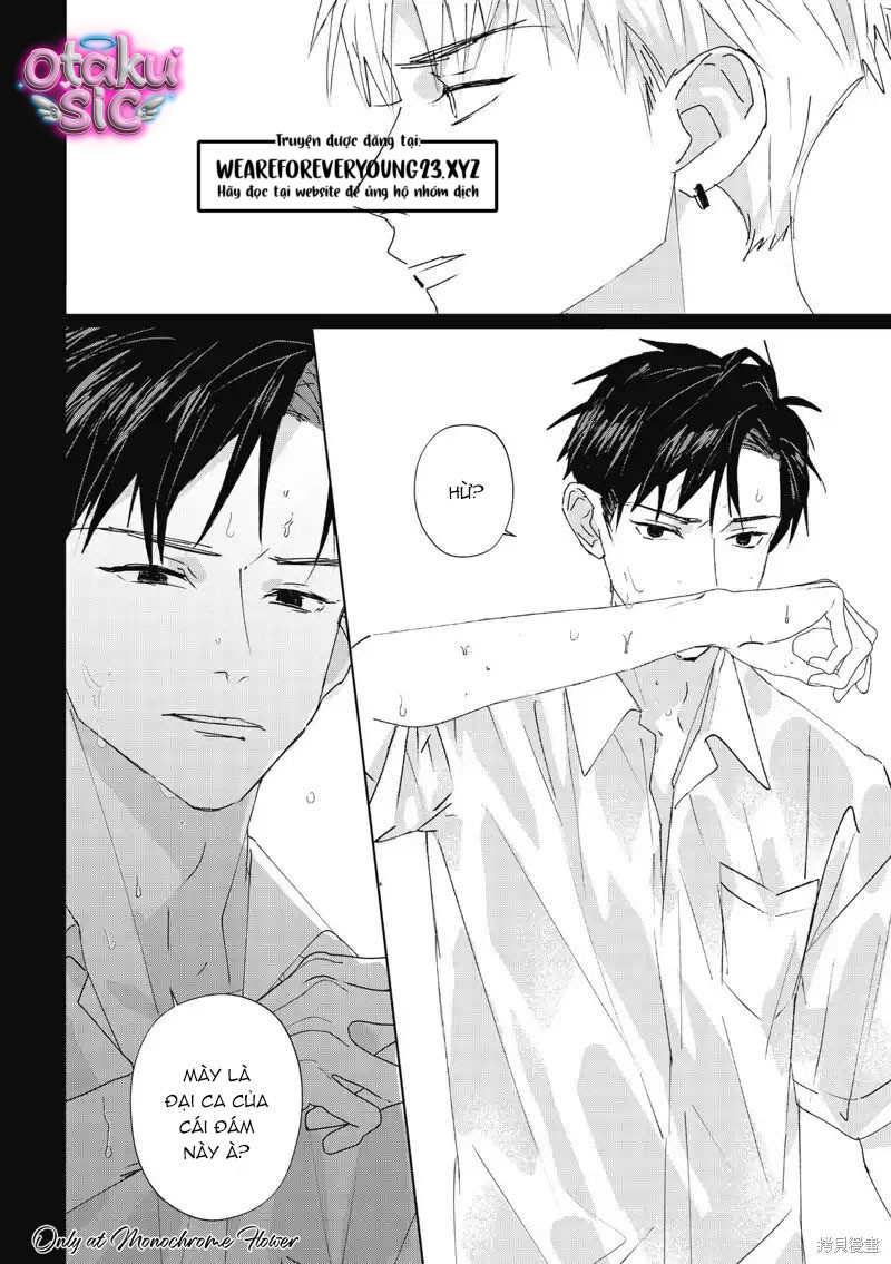 Hợp đồng luyện tập tiếp xúc - Chap 14 - Trang 19
