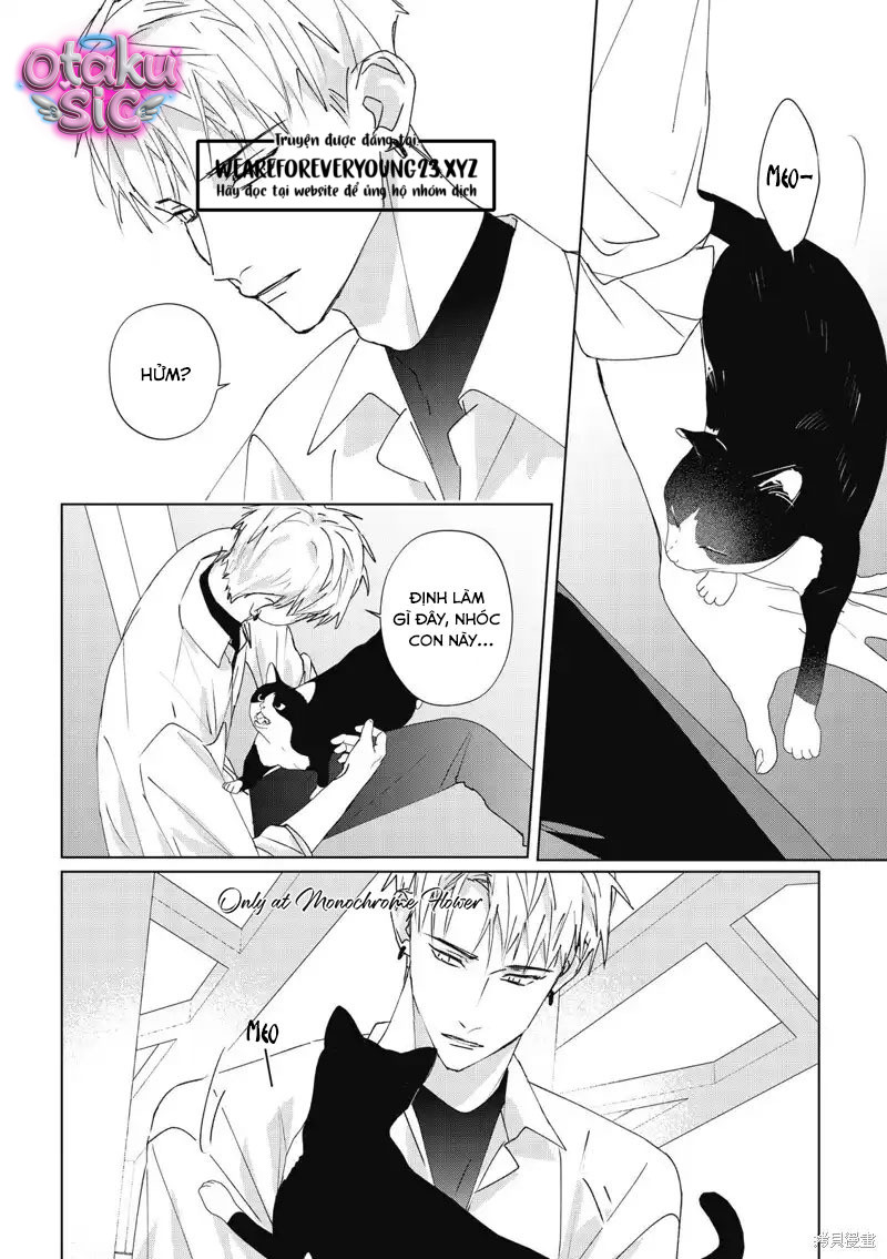Hợp đồng luyện tập tiếp xúc - Chap 14 - Trang 3