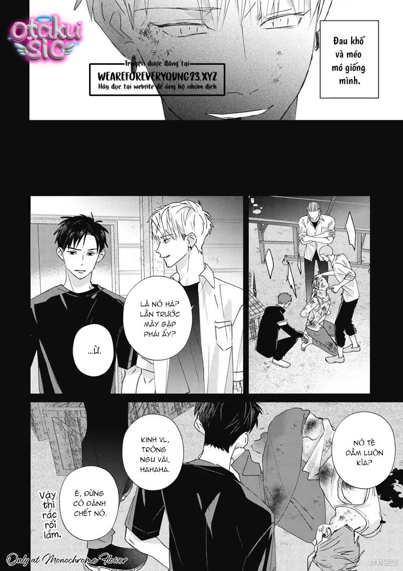 Hợp đồng luyện tập tiếp xúc - Chap 14 - Trang 31