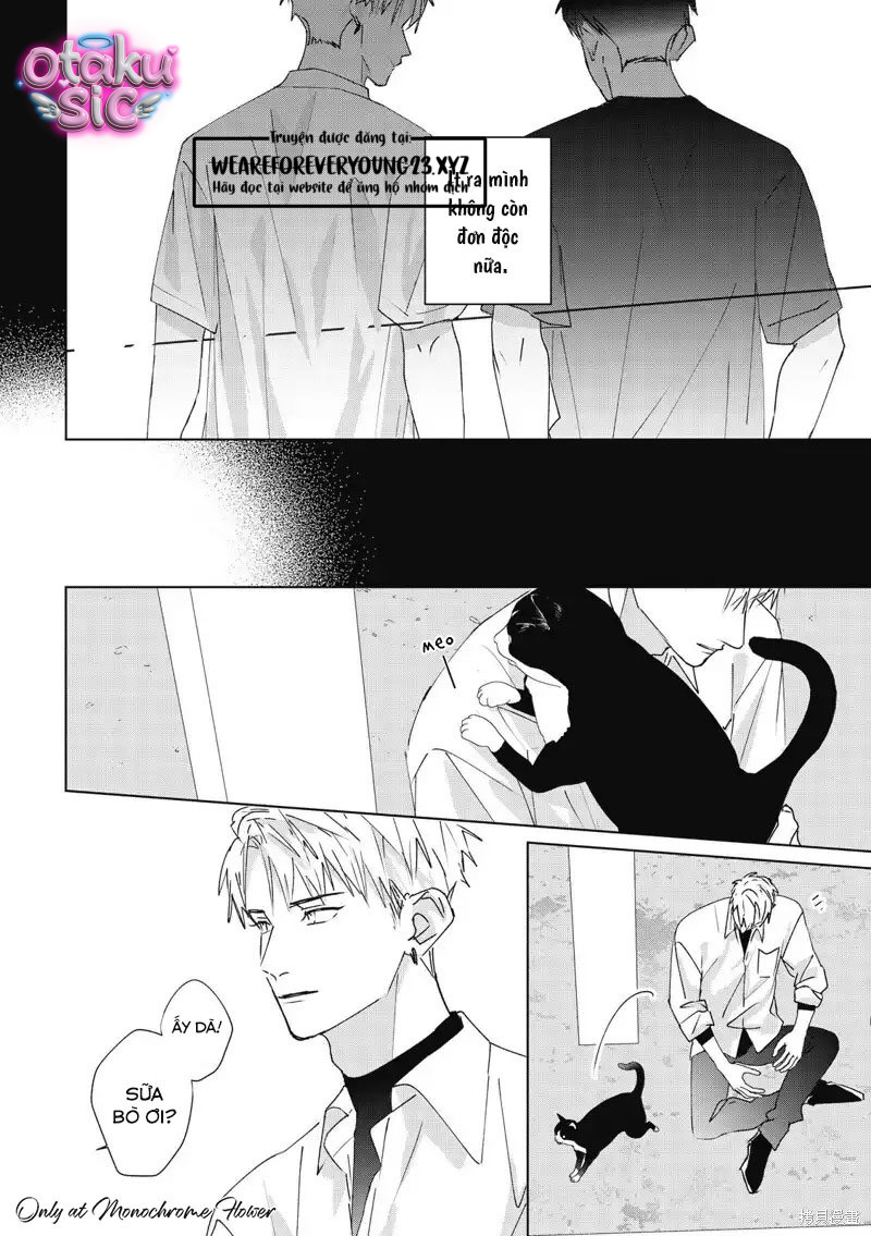 Hợp đồng luyện tập tiếp xúc - Chap 14 - Trang 33