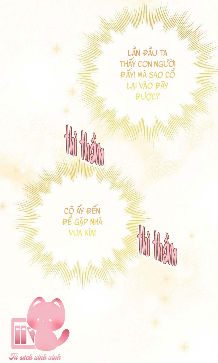 Hướng Về Ánh Dương Lần Nữa - Chap 101 - Trang 24