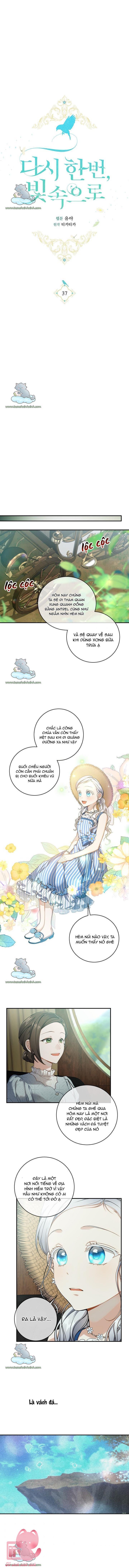 Hướng Về Ánh Dương Lần Nữa - Chap 37 - Trang 4