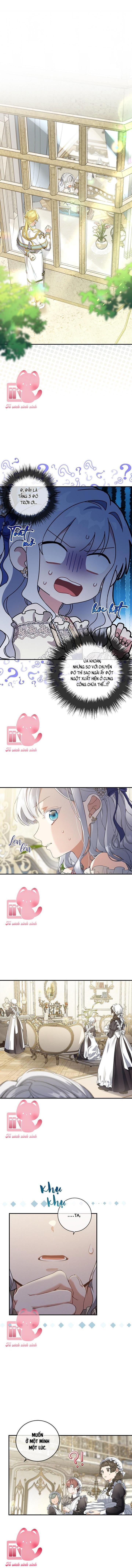 Hướng Về Ánh Dương Lần Nữa - Chap 49 - Trang 1