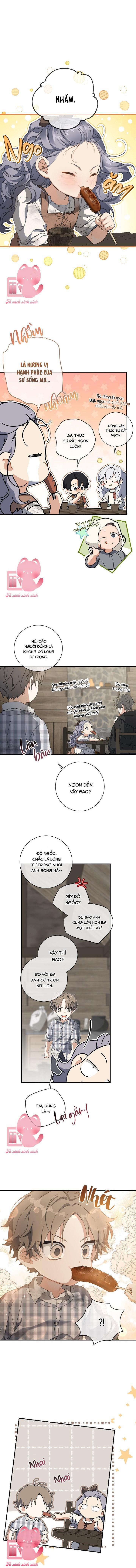 Hướng Về Ánh Dương Lần Nữa - Chap 64 - Trang 4