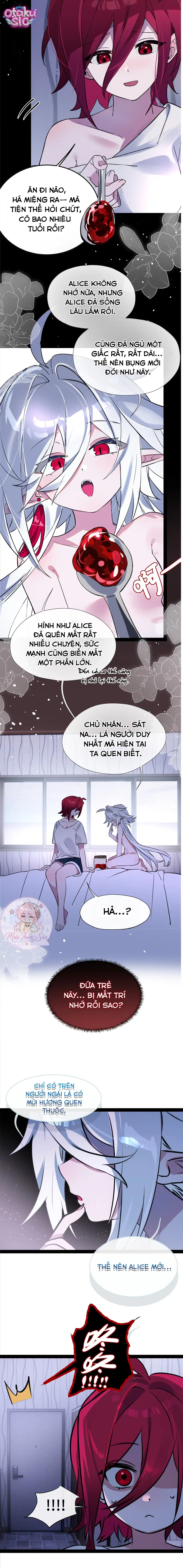 Huyết Khế: Nàng Ma Cà Rồng Alice - Chap 3 - Trang 2