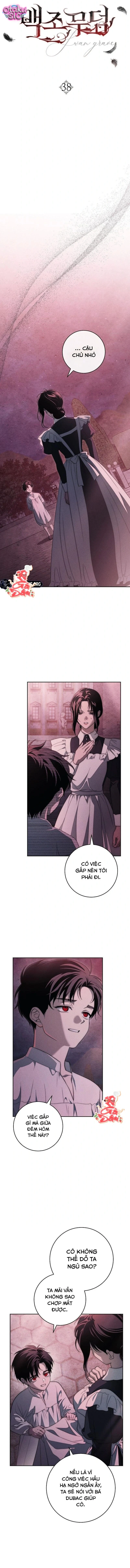 Huyệt Mộ Thiên Nga - Chap 38 - Trang 3