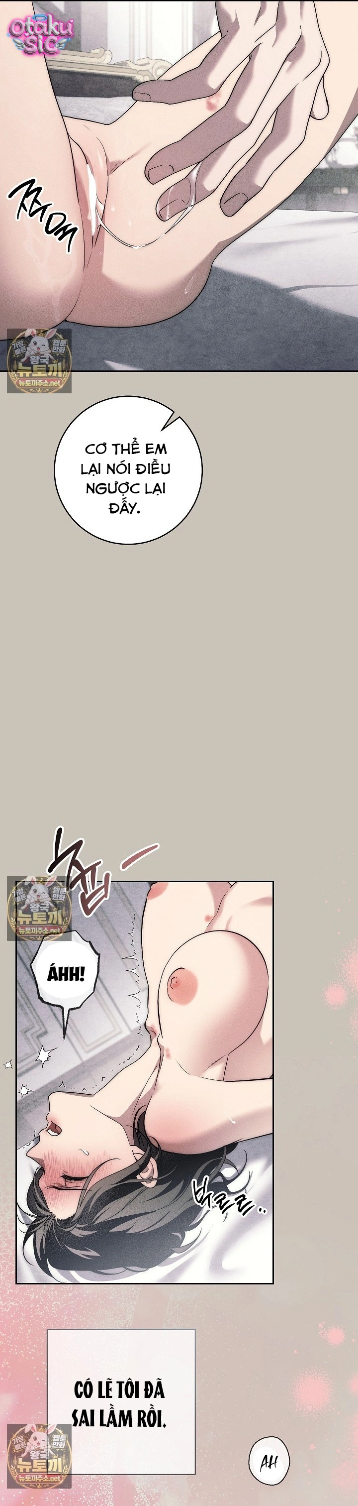 Huyệt Mộ Thiên Nga - Chap 42 - Trang 19