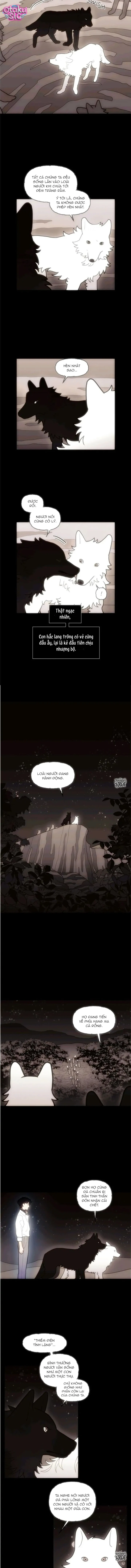 Huyết Nhật - Chap 38 - Trang 3