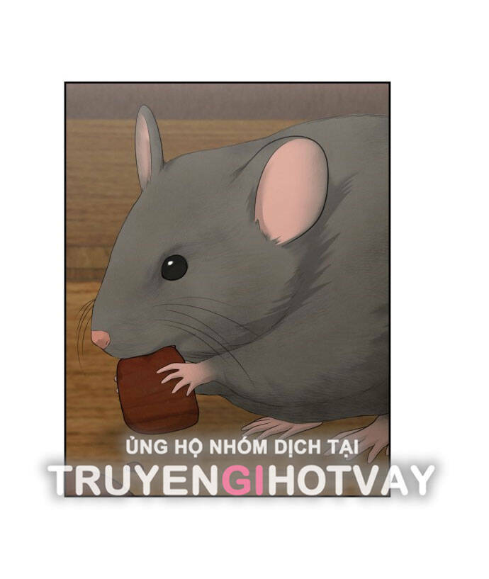 Hy Vọng Duy Nhất - Chap 56.1 - Trang 13