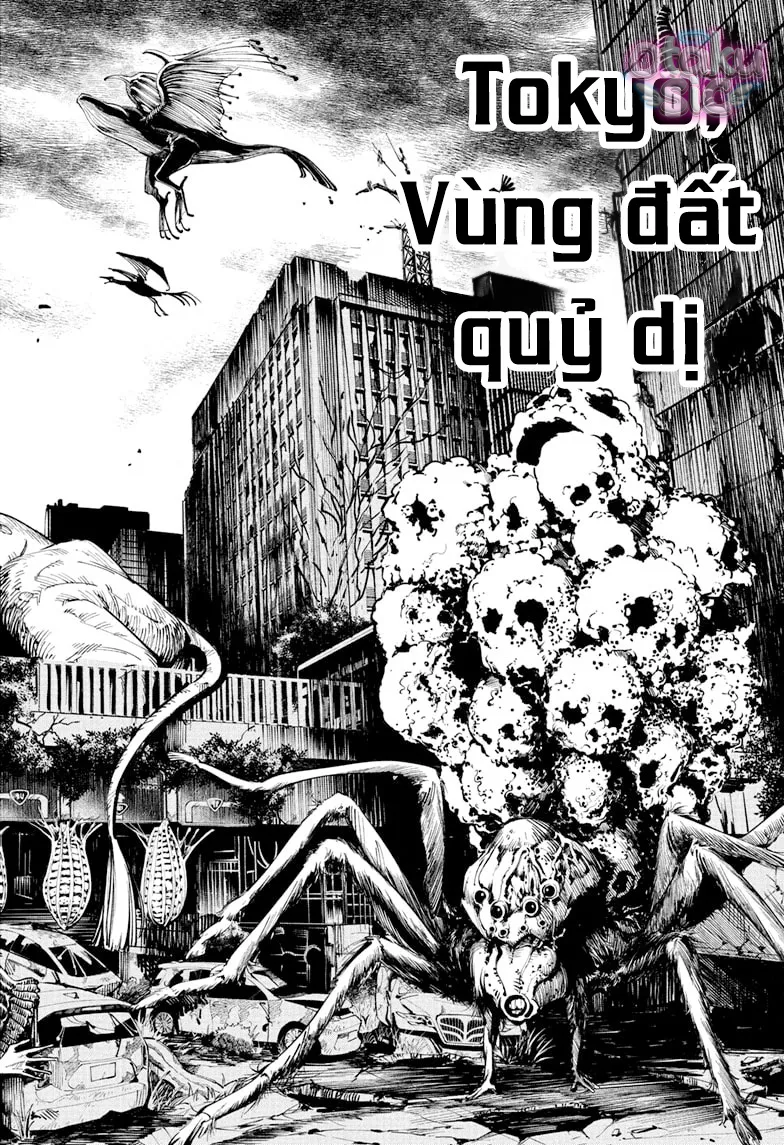 Jujutsu Kaisen Modulo - Chap 12 - Trang 4