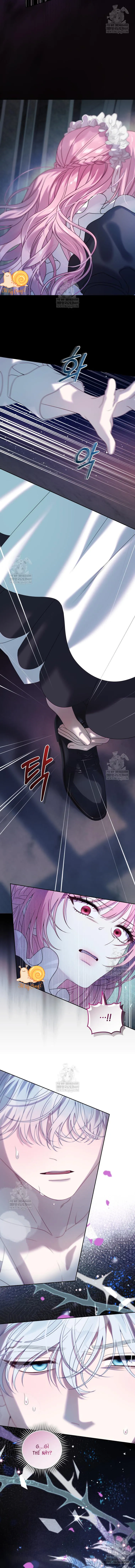 Kẻ Ám Ảnh Cuồng Tín Đang Cố Giam Cầm Tôi - Chap 1 - Trang 9