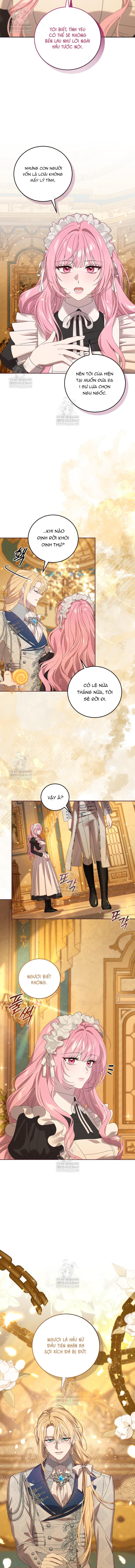 Kẻ Ám Ảnh Cuồng Tín Đang Cố Giam Cầm Tôi - Chap 11 - Trang 4