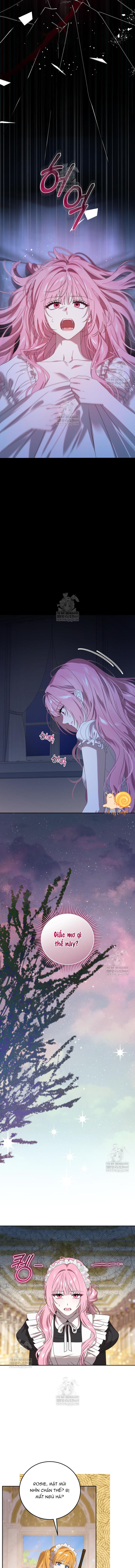 Kẻ Ám Ảnh Cuồng Tín Đang Cố Giam Cầm Tôi - Chap 12 - Trang 8