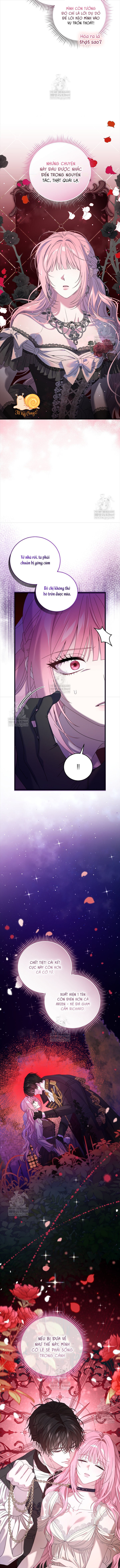 Kẻ Ám Ảnh Cuồng Tín Đang Cố Giam Cầm Tôi - Chap 15 - Trang 6