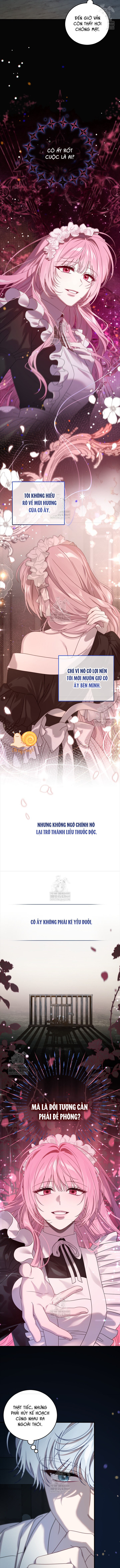 Kẻ Ám Ảnh Cuồng Tín Đang Cố Giam Cầm Tôi - Chap 19 - Trang 11