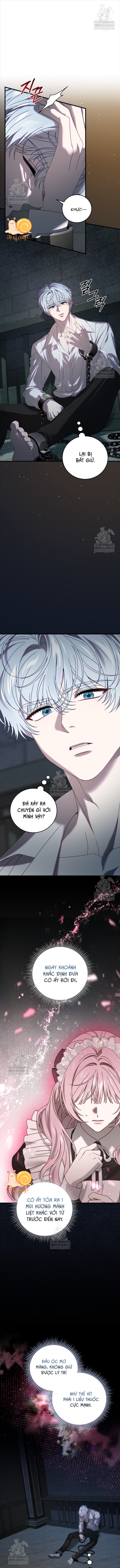 Kẻ Ám Ảnh Cuồng Tín Đang Cố Giam Cầm Tôi - Chap 19 - Trang 10