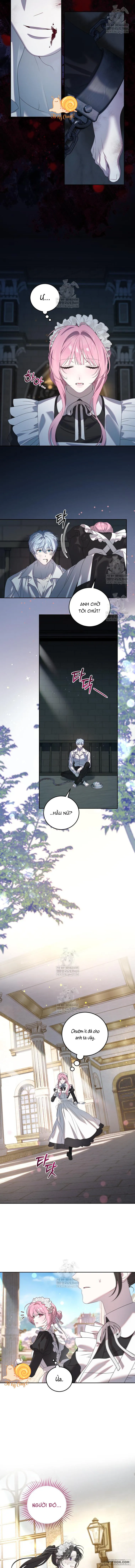 Kẻ Ám Ảnh Cuồng Tín Đang Cố Giam Cầm Tôi - Chap 3 - Trang 12