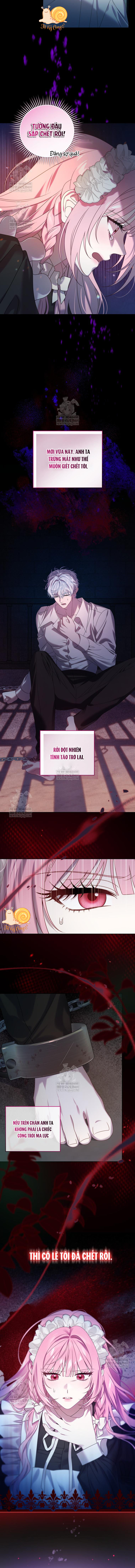 Kẻ Ám Ảnh Cuồng Tín Đang Cố Giam Cầm Tôi - Chap 7 - Trang 3