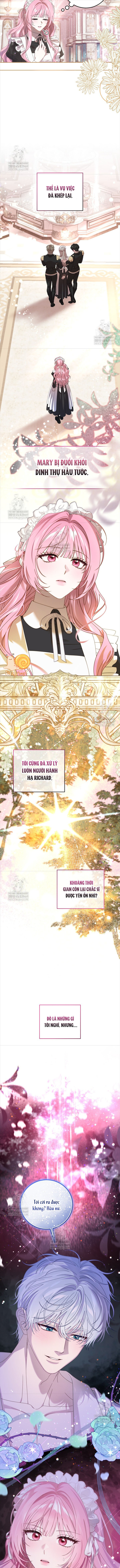 Kẻ Ám Ảnh Cuồng Tín Đang Cố Giam Cầm Tôi - Chap 9 - Trang 12