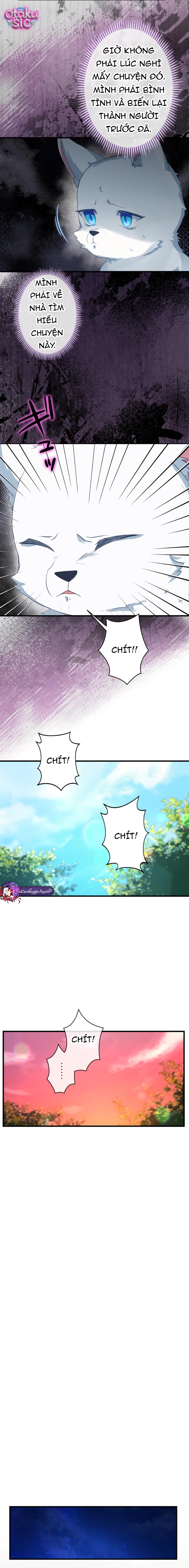 Kẻ Bắt Cóc Tôi Lại Là Vị Hôn Phu Của Tôi Sao?! - Chap 1 - Trang 11