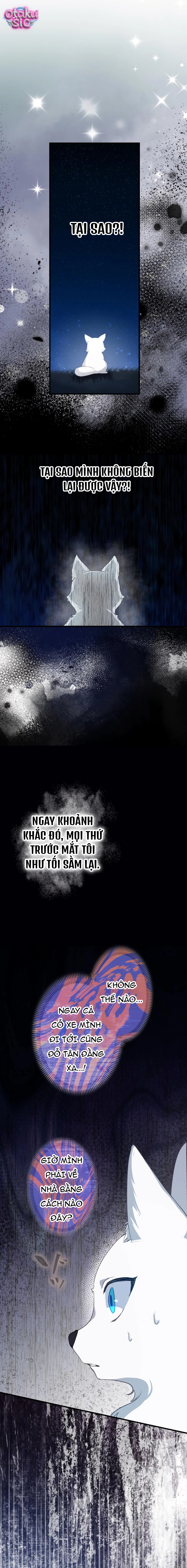 Kẻ Bắt Cóc Tôi Lại Là Vị Hôn Phu Của Tôi Sao?! - Chap 1 - Trang 12