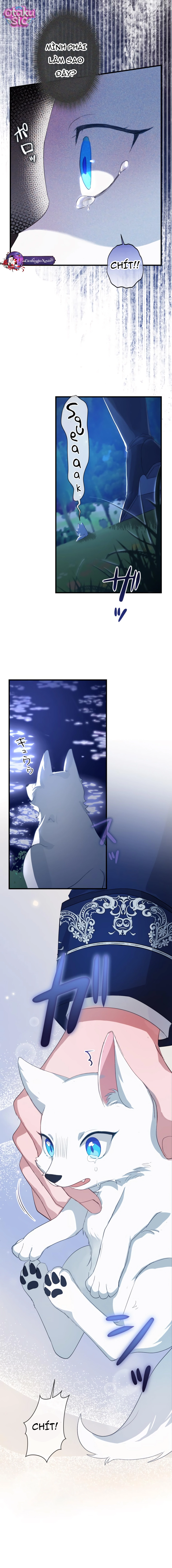 Kẻ Bắt Cóc Tôi Lại Là Vị Hôn Phu Của Tôi Sao?! - Chap 1 - Trang 13