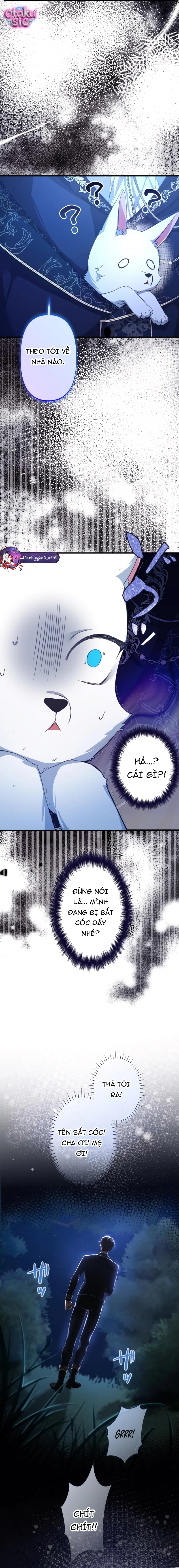 Kẻ Bắt Cóc Tôi Lại Là Vị Hôn Phu Của Tôi Sao?! - Chap 1 - Trang 16