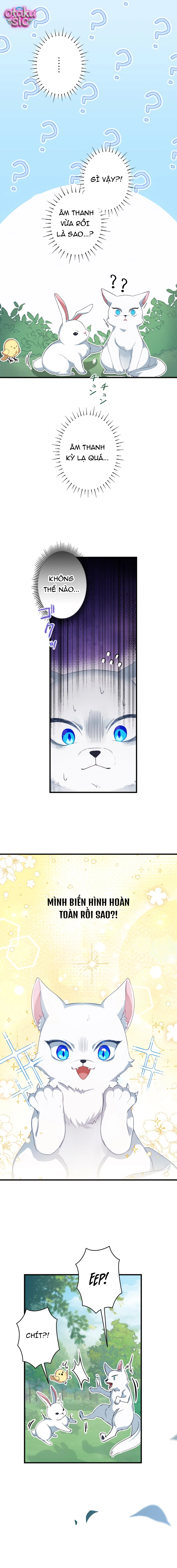 Kẻ Bắt Cóc Tôi Lại Là Vị Hôn Phu Của Tôi Sao?! - Chap 1 - Trang 9