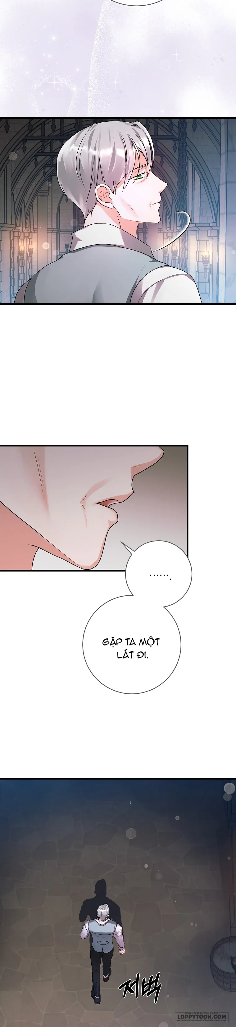 Kẻ Phản Diện Có Thời Hạn Ủng Hộ Tôi Hủy Hôn - Chap 14 - Trang 17
