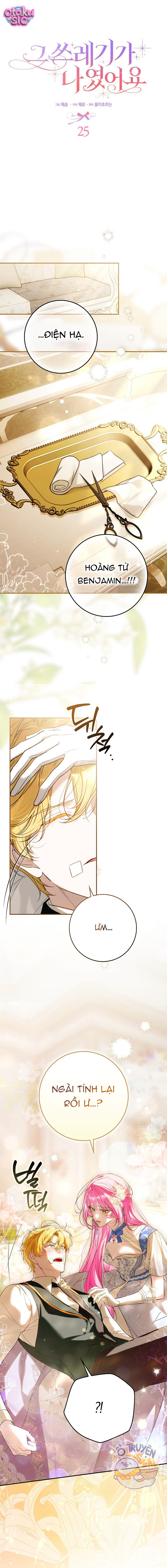 Kẻ Phản Diện Đó Chính Là Tôi - Chap 25 - Trang 13