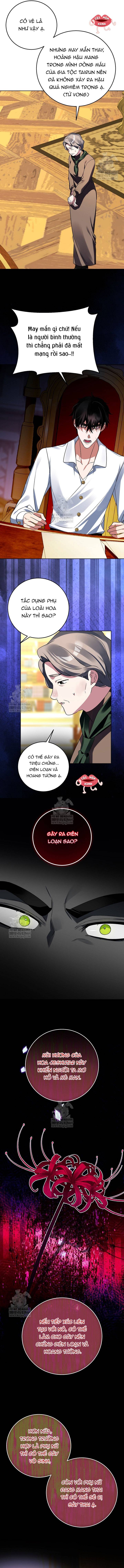 Kết Cục Của Hoàng Hậu Bị Bạo Quân Xử Tử - Chap 27 - Trang 5