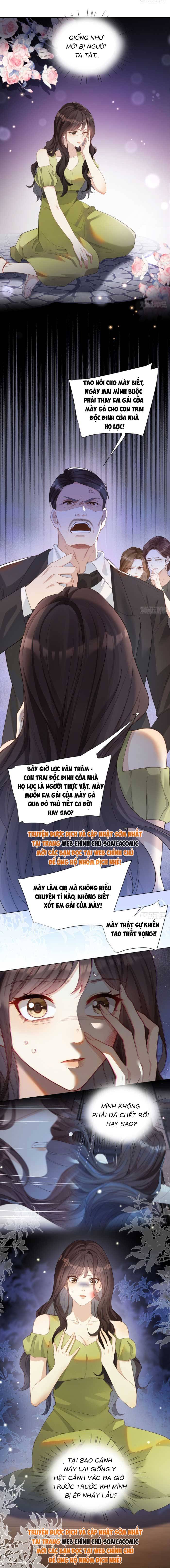Kết Hôn Với Đại Lão Thực Vật - Chap 1 - Trang 7