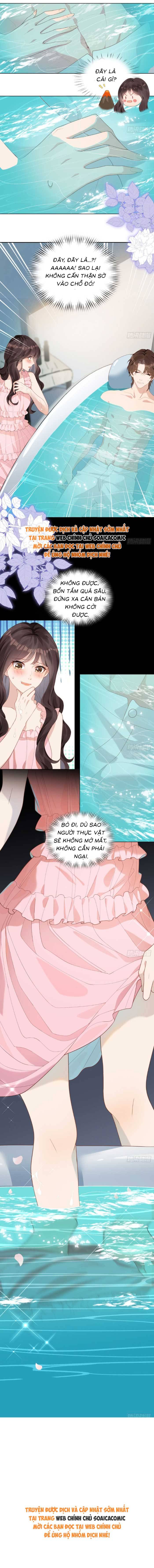 Kết Hôn Với Đại Lão Thực Vật - Chap 2 - Trang 12