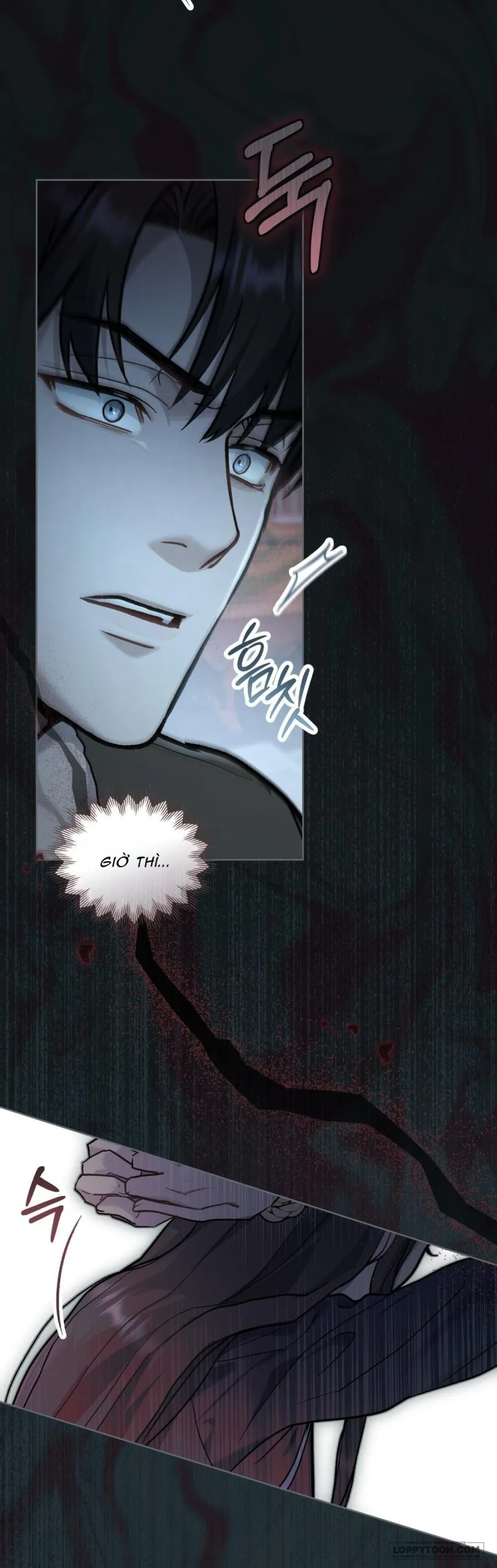 Kết Hôn Với Kẻ Tâm Thần - Chap 27 - Trang 17
