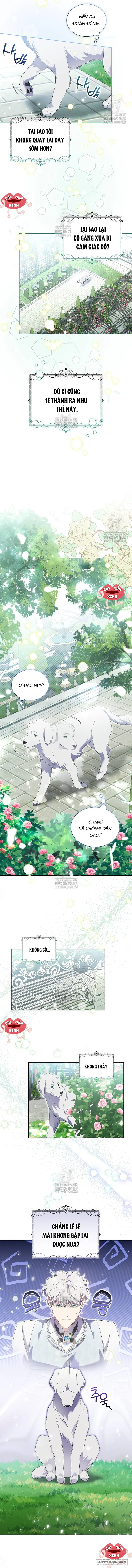 Khi Bị Nam Chính Dịu Dàng Nhưng Cố Chấp Ám Ảnh - Chap 13 - Trang 10