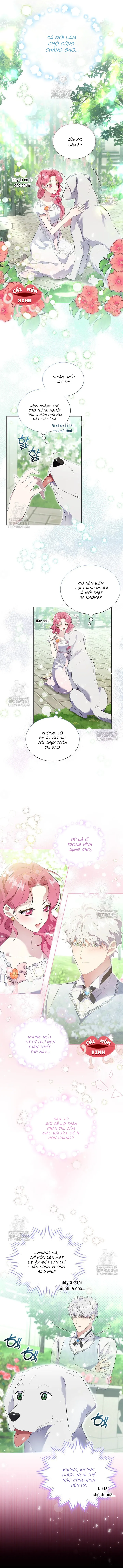 Khi Bị Nam Chính Dịu Dàng Nhưng Cố Chấp Ám Ảnh - Chap 14 - Trang 3