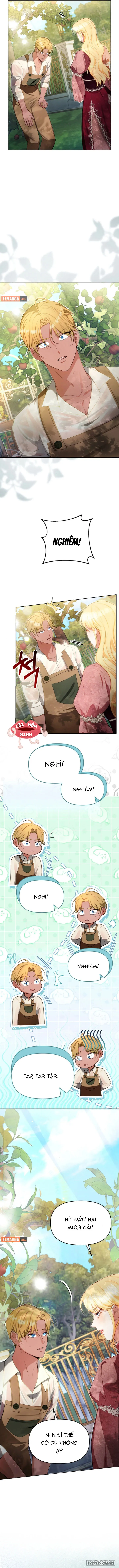 Khi Người Chồng Cũ Của Tôi Đòi Tái Hợp - Chap 12 - Trang 11