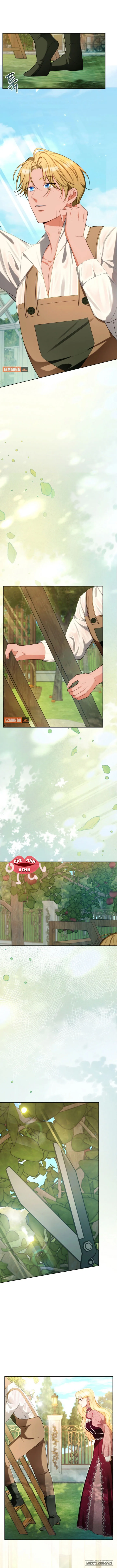 Khi Người Chồng Cũ Của Tôi Đòi Tái Hợp - Chap 12 - Trang 9