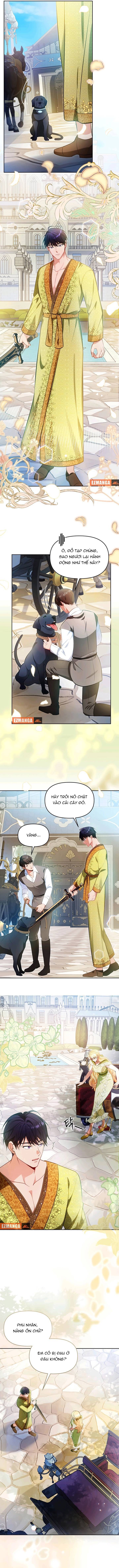 Khi Người Chồng Cũ Của Tôi Đòi Tái Hợp - Chap 25 - Trang 8